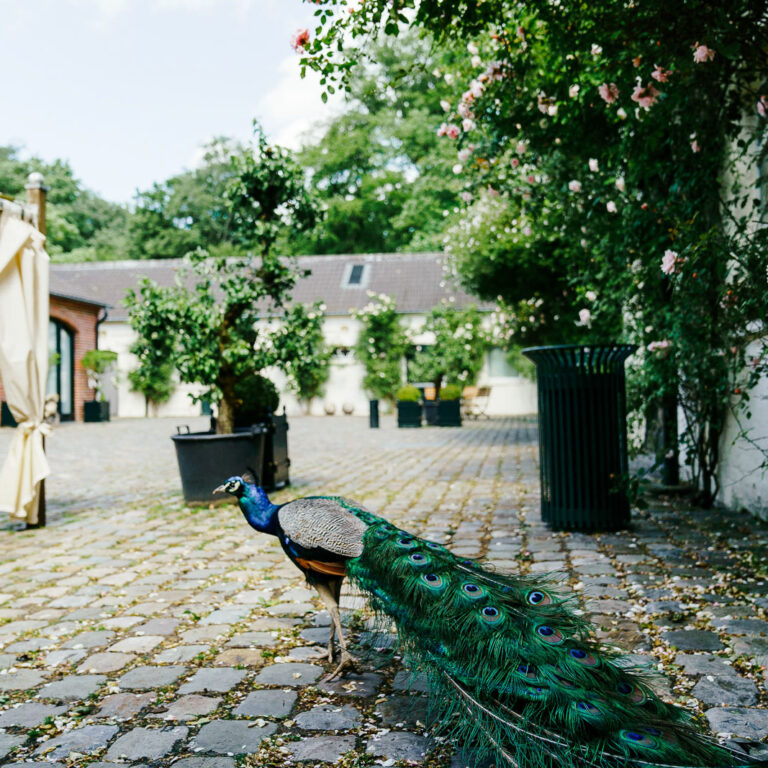 Schloss Gartrop Hochzeit – Hochzeitsfotograf NRW begleitet euren Tag